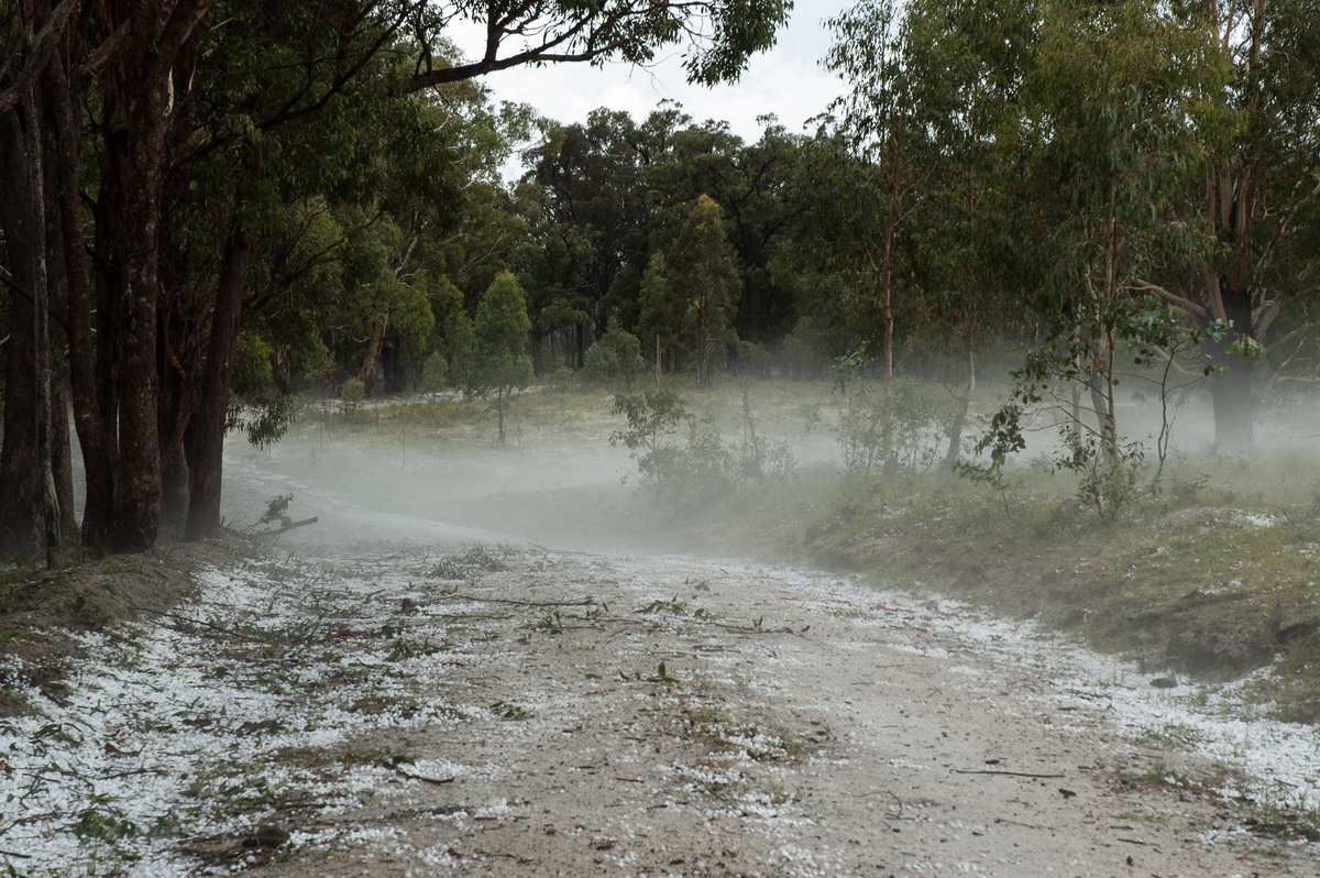 fogmist fog_mist_frost : S of Tenterfield, NSW   10 February 2007