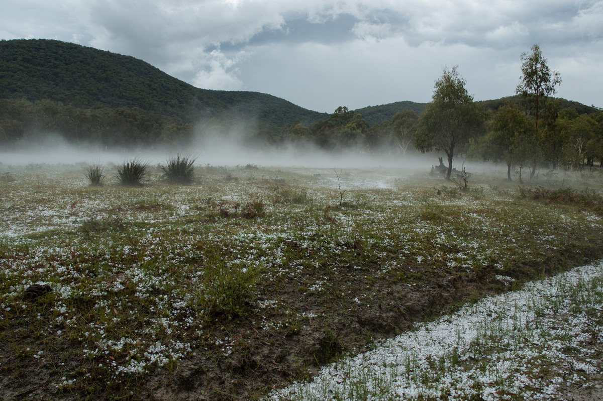 fogmist fog_mist_frost : S of Tenterfield, NSW   10 February 2007