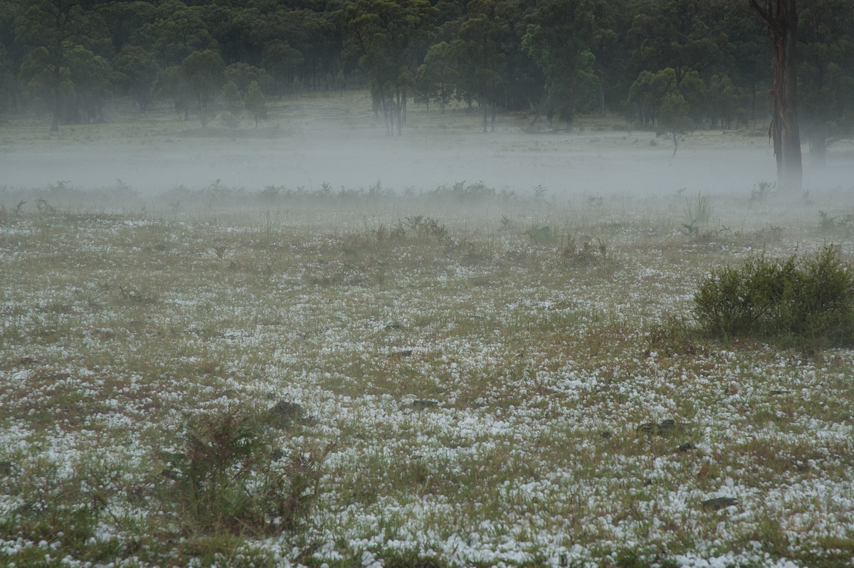 hailstones hail_stones : S of Tenterfield, NSW   10 February 2007