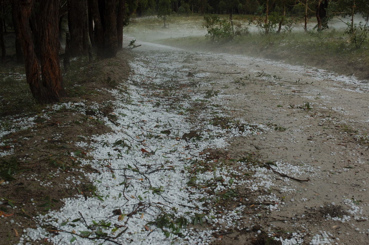 hailstones hail_stones : S of Tenterfield, NSW   10 February 2007