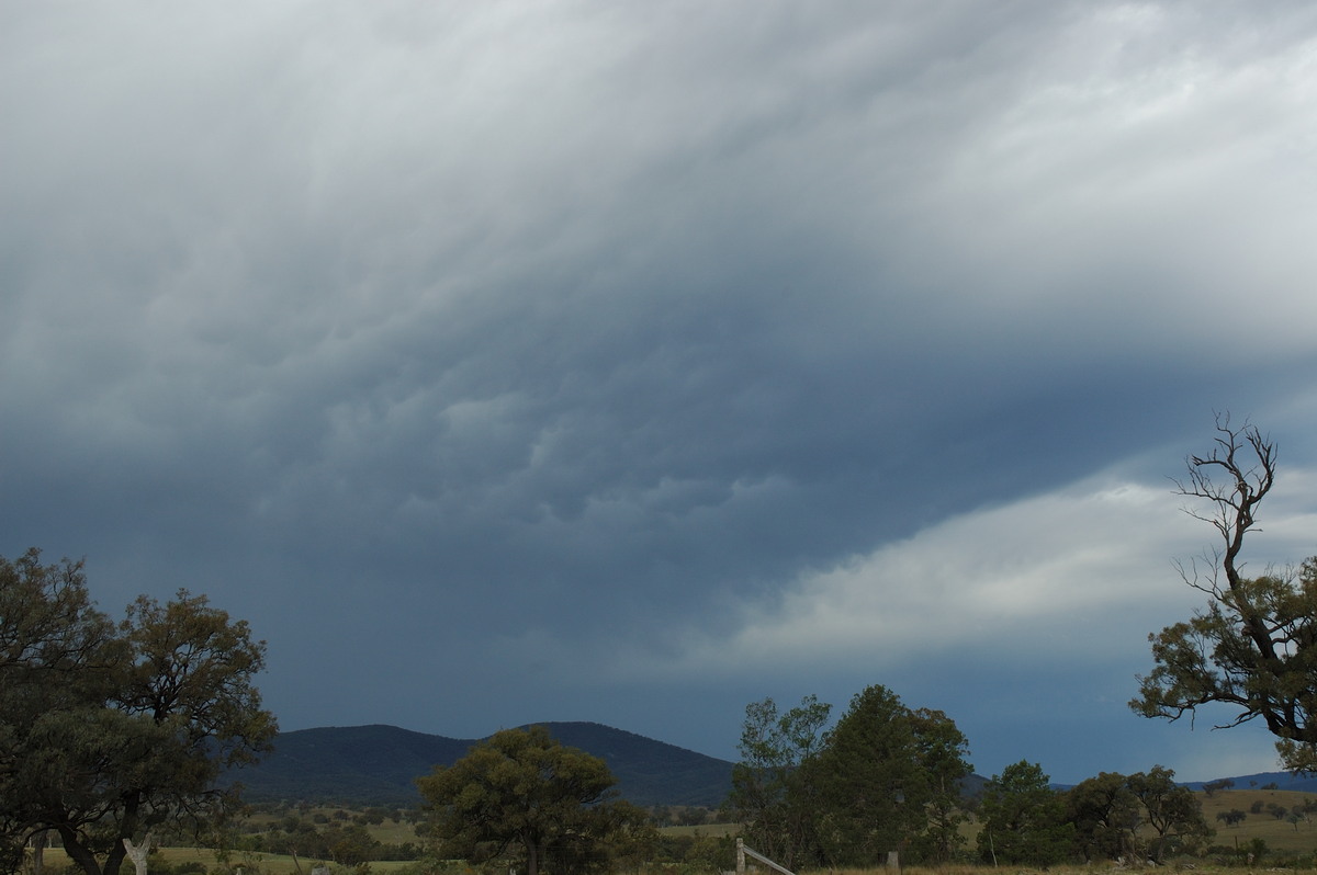 mammatus mammatus_cloud : W of Tenterfield, NSW   10 February 2007