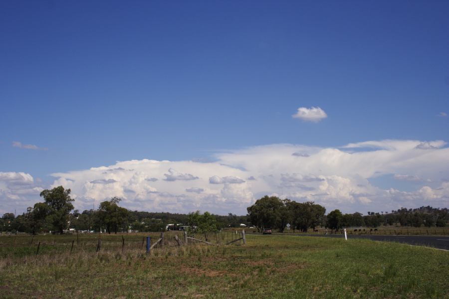 thunderstorm cumulonimbus_incus : Dunedoo, NSW   11 February 2007