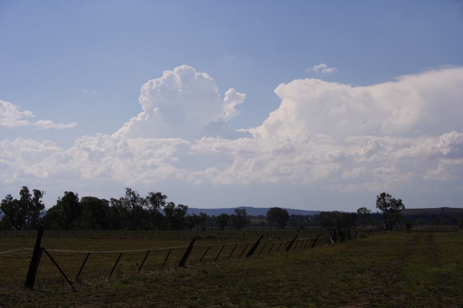 thunderstorm cumulonimbus_calvus : Dunedoo, NSW   11 February 2007