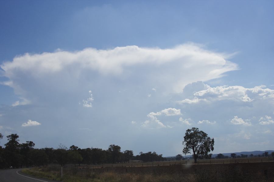 anvil thunderstorm_anvils : W of Dunedoo, NSW   11 February 2007