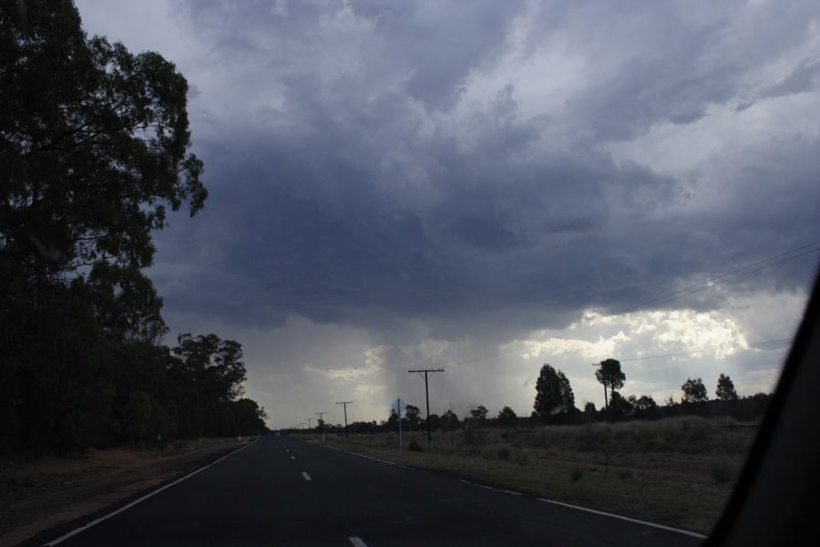 raincascade precipitation_cascade : Elong Elong, NSW   11 February 2007