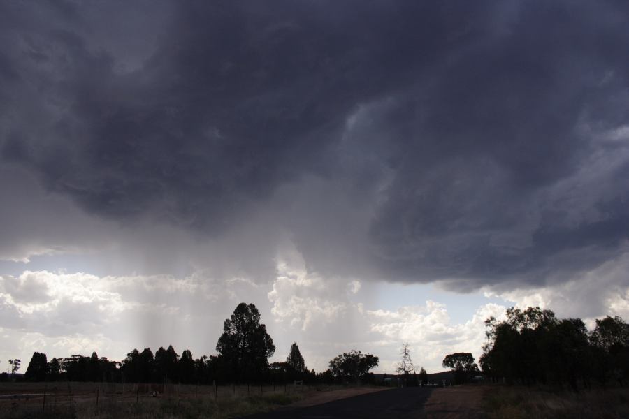 raincascade precipitation_cascade : long Elong, NSW   11 February 2007