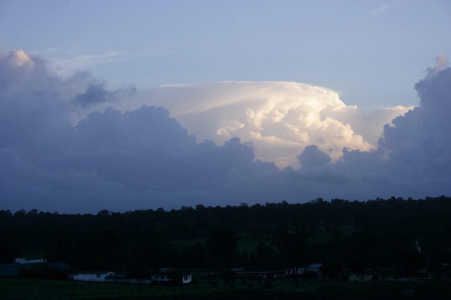 cumulus congestus : Schofields, NSW   12 February 2007