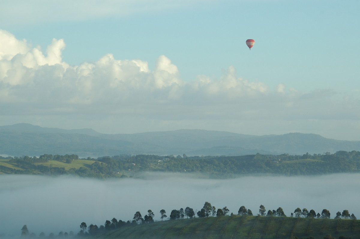 fogmist fog_mist_frost : McLeans Ridges, NSW   16 February 2007