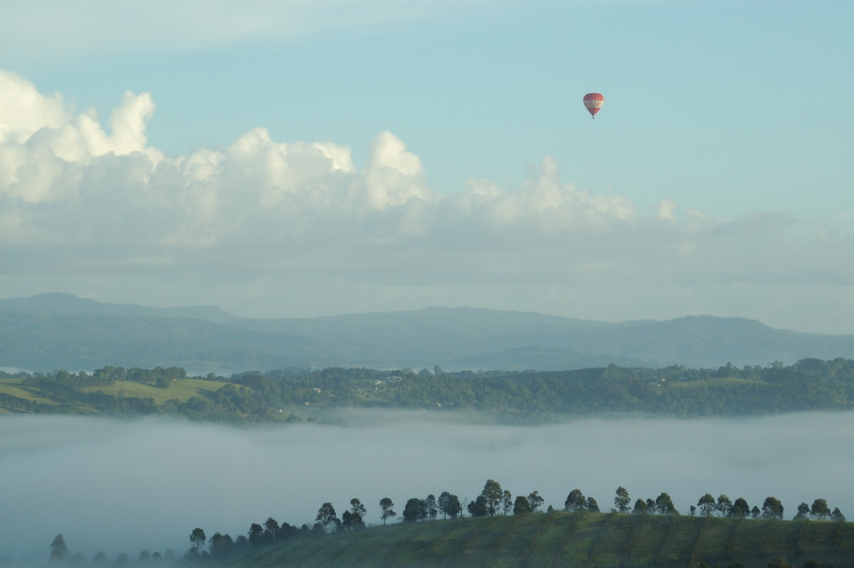 fogmist fog_mist_frost : McLeans Ridges, NSW   16 February 2007