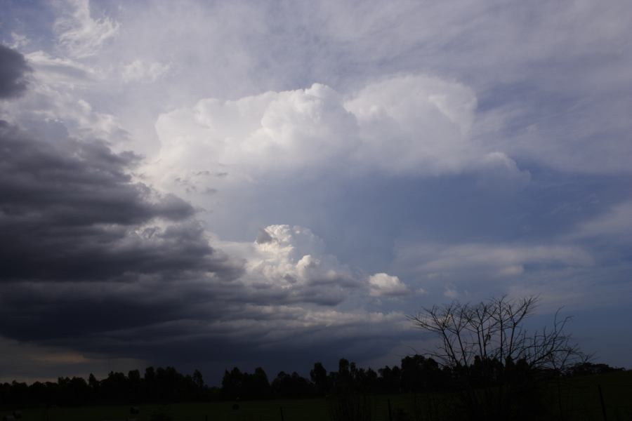 altostratus altostratus_cloud : Pacific Park, NSW   19 February 2007