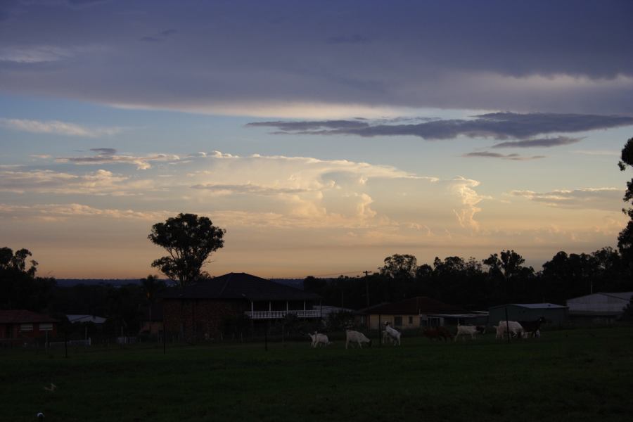 thunderstorm cumulonimbus_incus : Schofields, NSW   22 February 2007