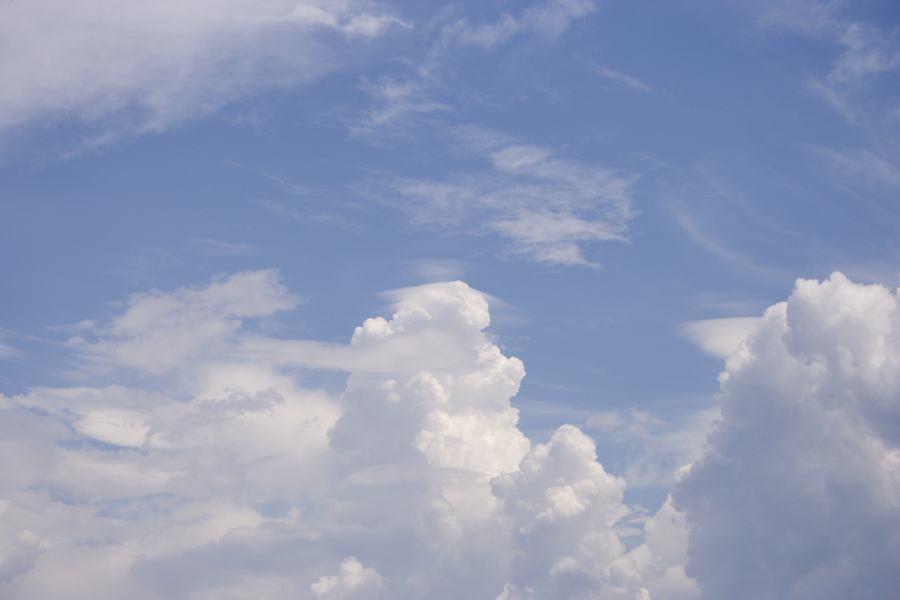 thunderstorm cumulonimbus_calvus : Castlereagh, NSW   24 February 2007