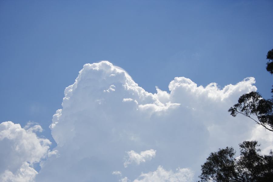 pileus pileus_cap_cloud : Kurrajong region, NSW   24 February 2007