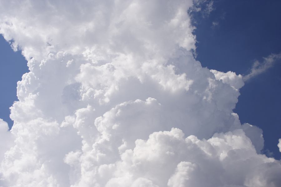 updraft thunderstorm_updrafts : Bilpin, NSW   24 February 2007