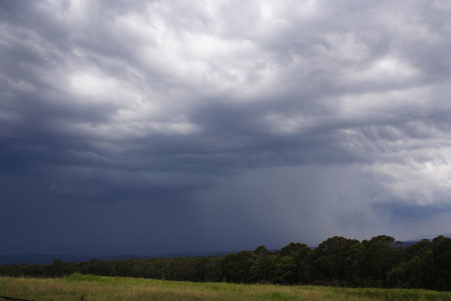 raincascade precipitation_cascade : Bilpin, NSW   24 February 2007