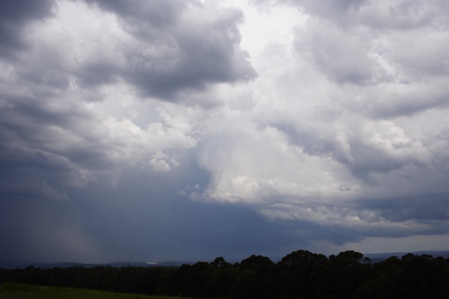 cumulonimbus thunderstorm_base : Bilpin, NSW   24 February 2007