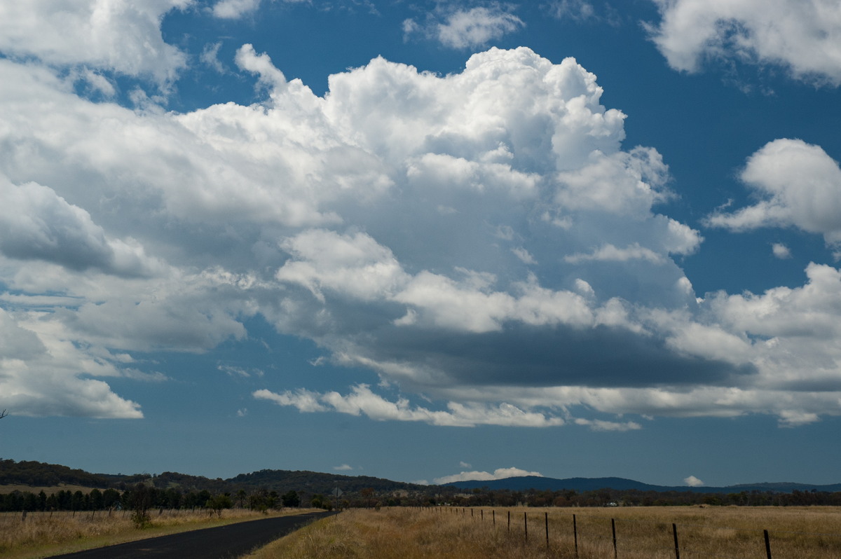 cumulus congestus : near Deepwater, NSW   25 February 2007