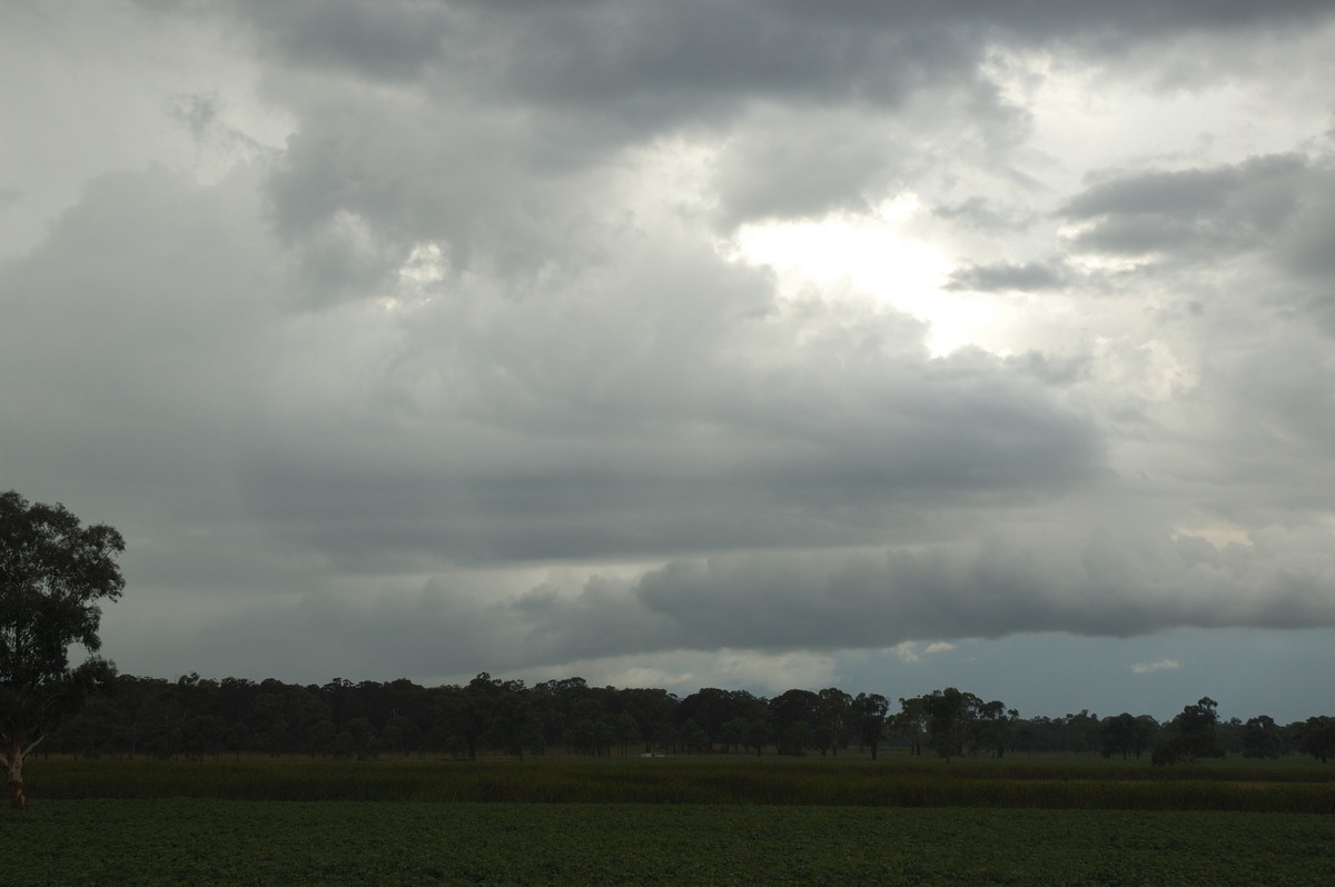 rollcloud roll_cloud : near Deepwater, NSW   25 February 2007