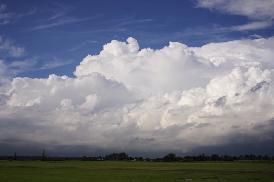 thunderstorm cumulonimbus_calvus : Windsor, NSW   28 February 2007