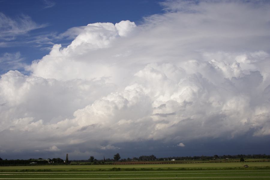 updraft thunderstorm_updrafts : Windsor, NSW   28 February 2007