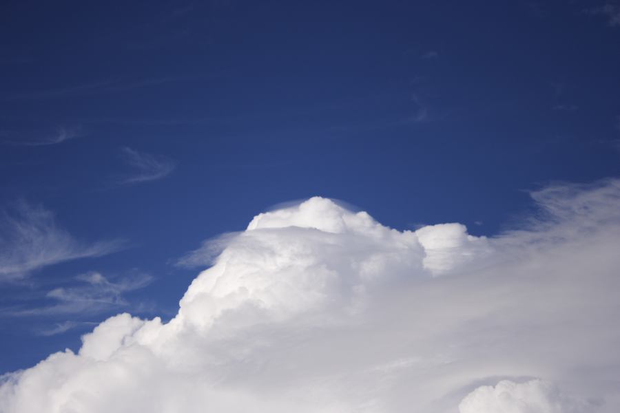 pileus pileus_cap_cloud : Windsor, NSW   28 February 2007