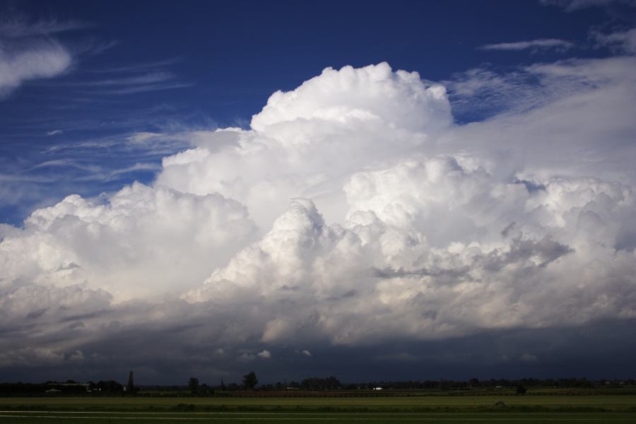 thunderstorm cumulonimbus_calvus : Windsor, NSW   28 February 2007