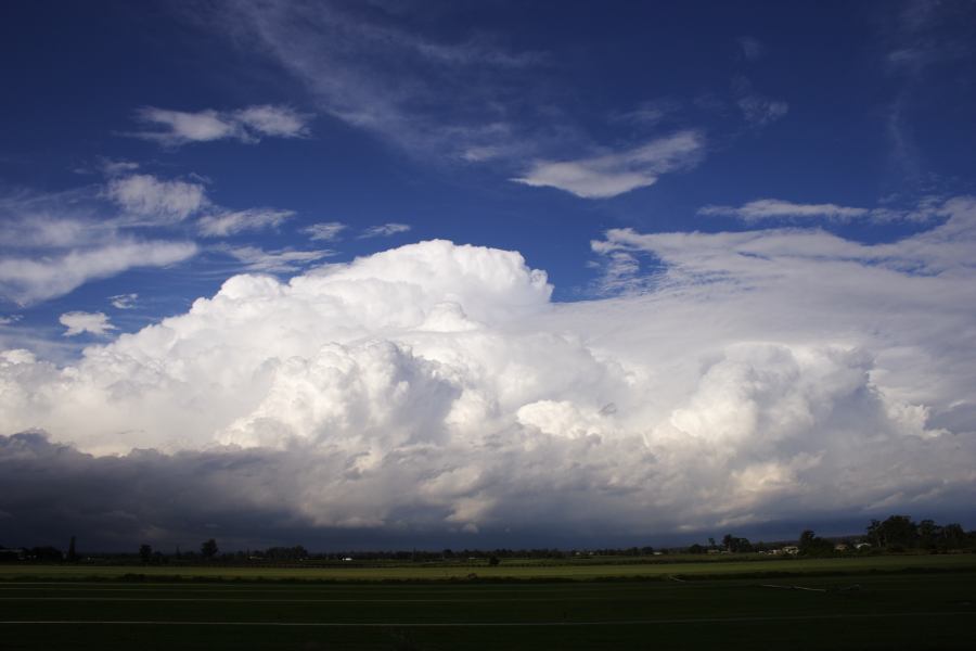 thunderstorm cumulonimbus_calvus : Windsor, NSW   28 February 2007