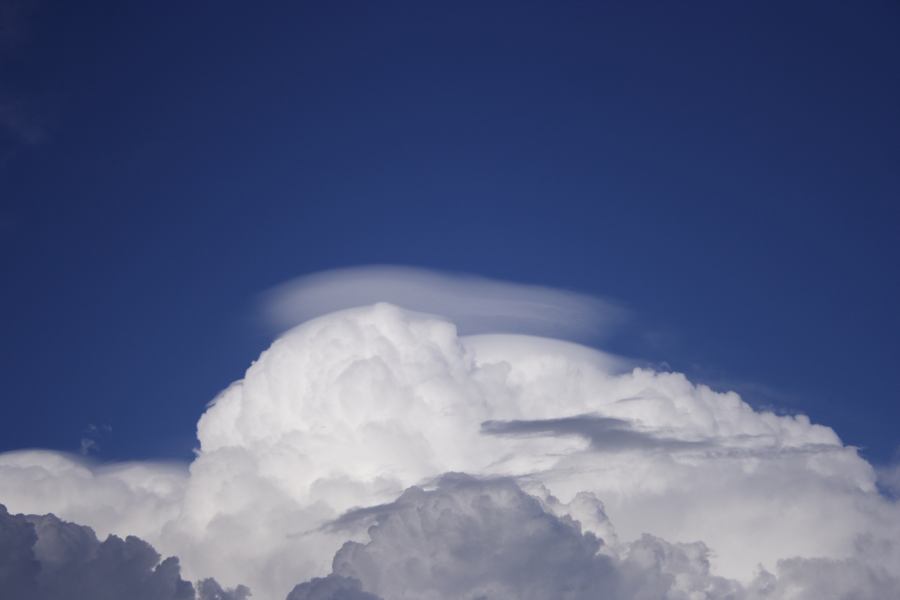 pileus pileus_cap_cloud : Windsor, NSW   28 February 2007