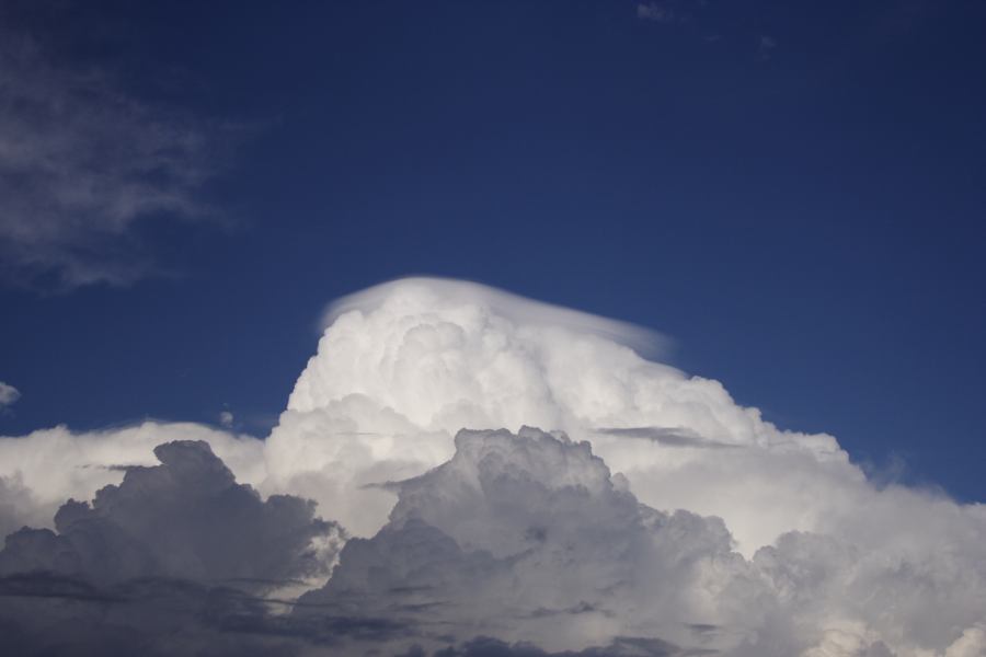 pileus pileus_cap_cloud : Windsor, NSW   28 February 2007