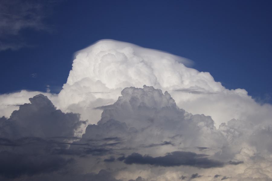 updraft thunderstorm_updrafts : Windsor, NSW   28 February 2007