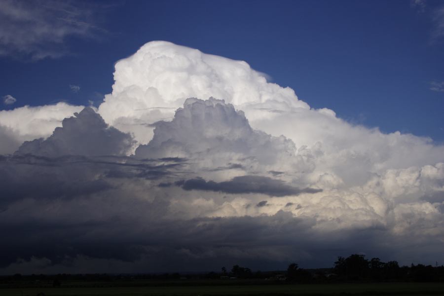 pileus pileus_cap_cloud : Windsor, NSW   28 February 2007