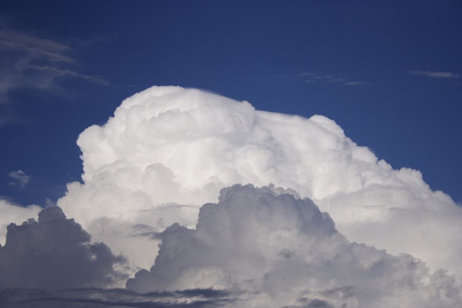 pileus pileus_cap_cloud : Windsor, NSW   28 February 2007