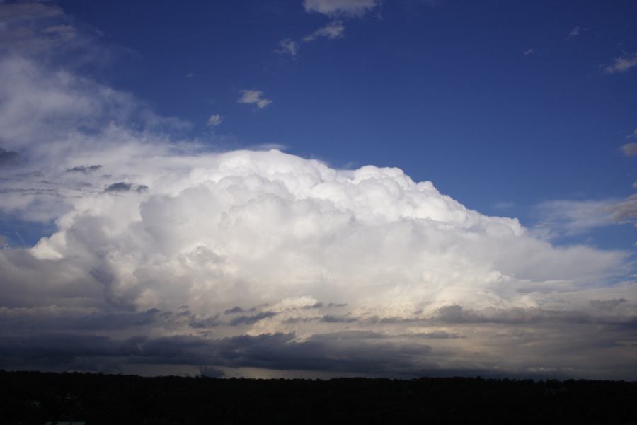 pileus pileus_cap_cloud : Schofields, NSW   28 February 2007