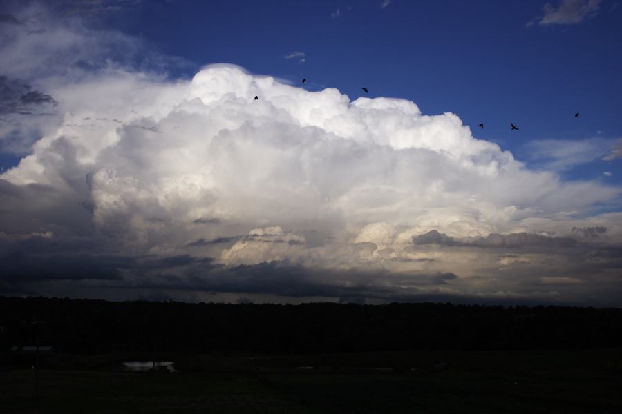 thunderstorm cumulonimbus_incus : Schofields, NSW   28 February 2007