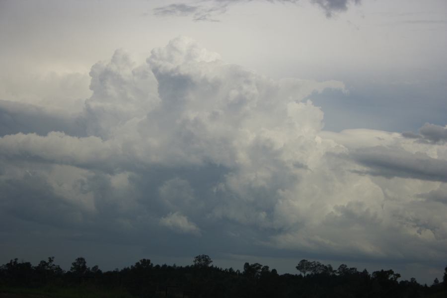 updraft thunderstorm_updrafts : near Liverpool, NSW   1 March 2007