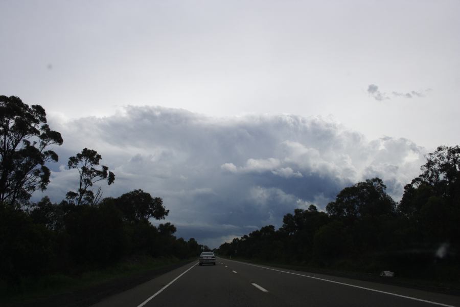 thunderstorm cumulonimbus_calvus : near Engadine, NSW   1 March 2007