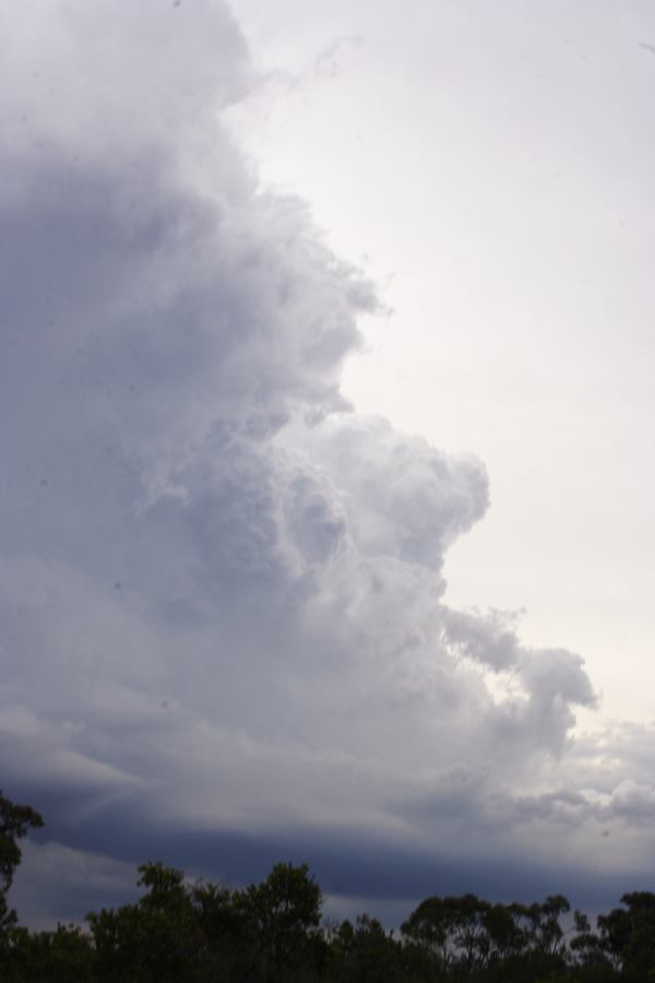 thunderstorm cumulonimbus_incus : near Heathcote, NSW   1 March 2007