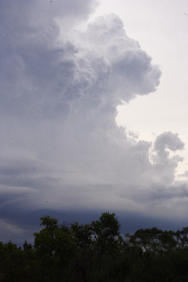 thunderstorm cumulonimbus_incus : near Heathcote, NSW   1 March 2007