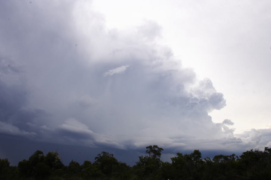 thunderstorm cumulonimbus_incus : near Heathcote, NSW   1 March 2007