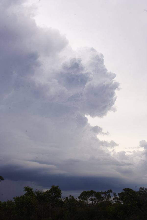 updraft thunderstorm_updrafts : near Heathcote, NSW   1 March 2007