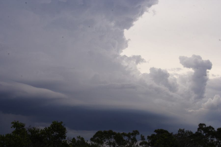 thunderstorm cumulonimbus_incus : near Heathcote, NSW   1 March 2007