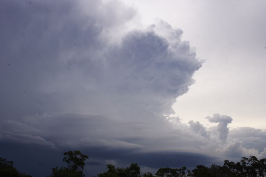 cumulonimbus thunderstorm_base : near Heathcote, NSW   1 March 2007