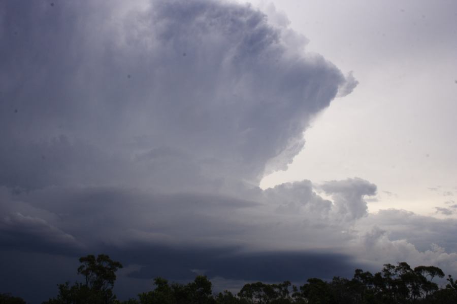 updraft thunderstorm_updrafts : near Heathcote, NSW   1 March 2007