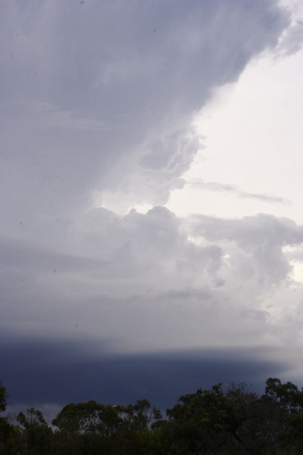 updraft thunderstorm_updrafts : near Heathcote, NSW   1 March 2007