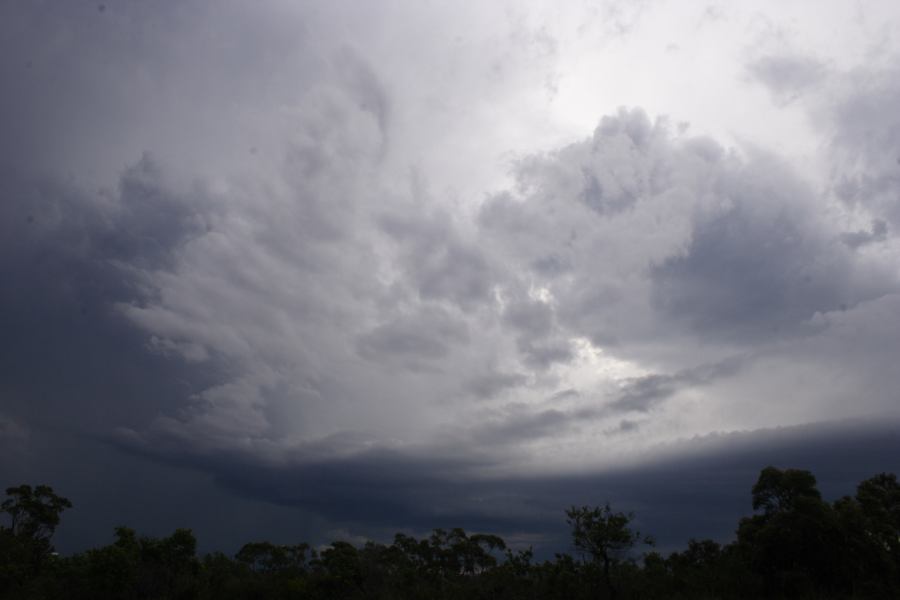 cumulonimbus thunderstorm_base : near Heathcote, NSW   1 March 2007