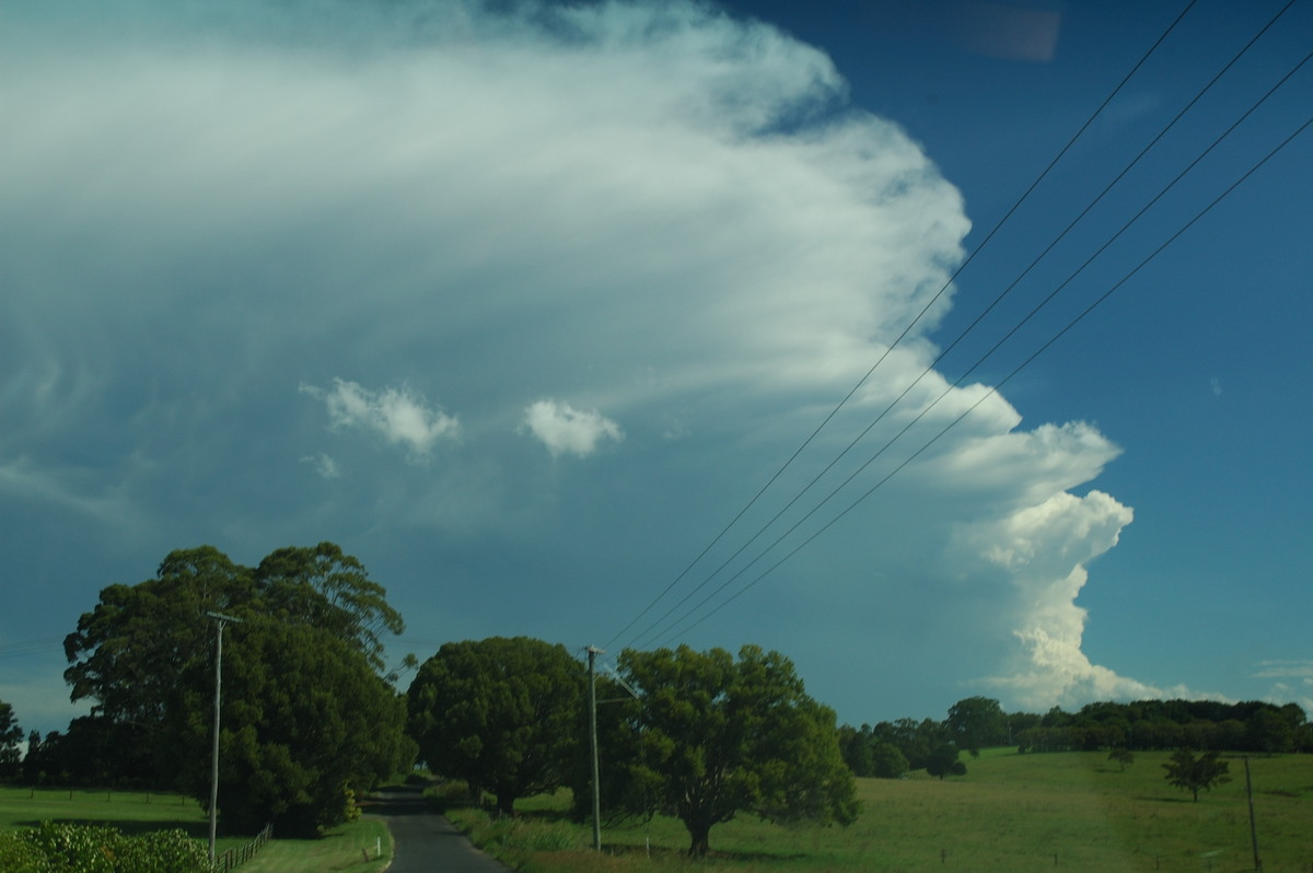 anvil thunderstorm_anvils : McLeans Ridges, NSW   2 March 2007