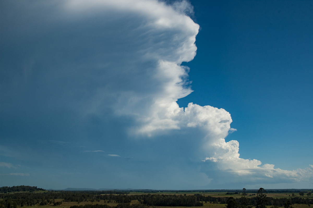 thunderstorm cumulonimbus_incus : Parrots Nest, NSW   2 March 2007