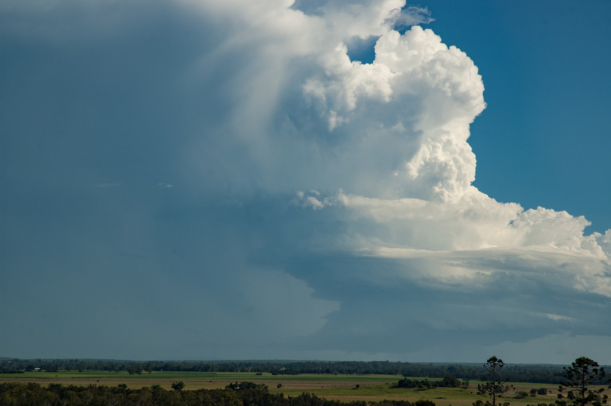 inflowband thunderstorm_inflow_band : Parrots Nest, NSW   2 March 2007