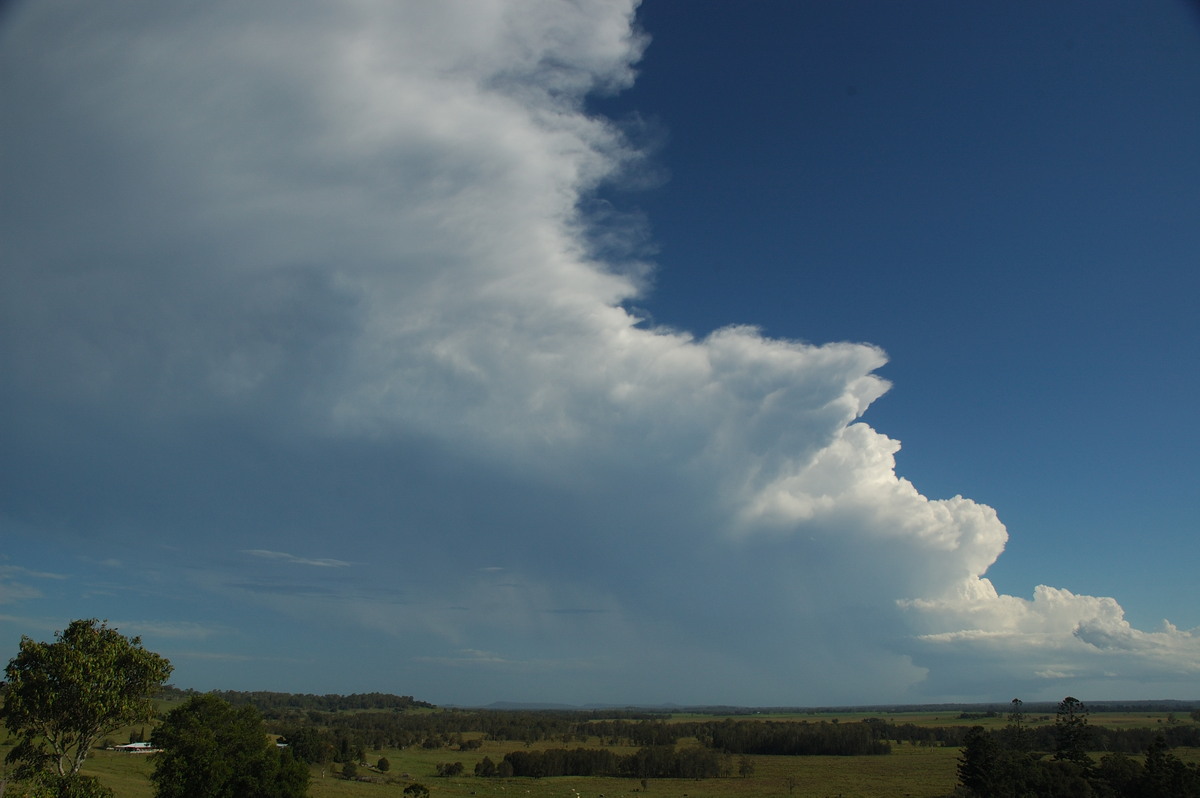 anvil thunderstorm_anvils : Parrots Nest, NSW   2 March 2007