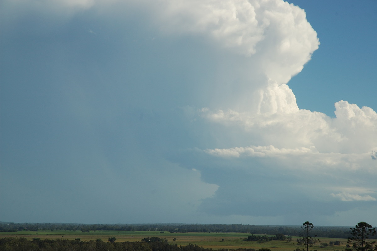 updraft thunderstorm_updrafts : Parrots Nest, NSW   2 March 2007